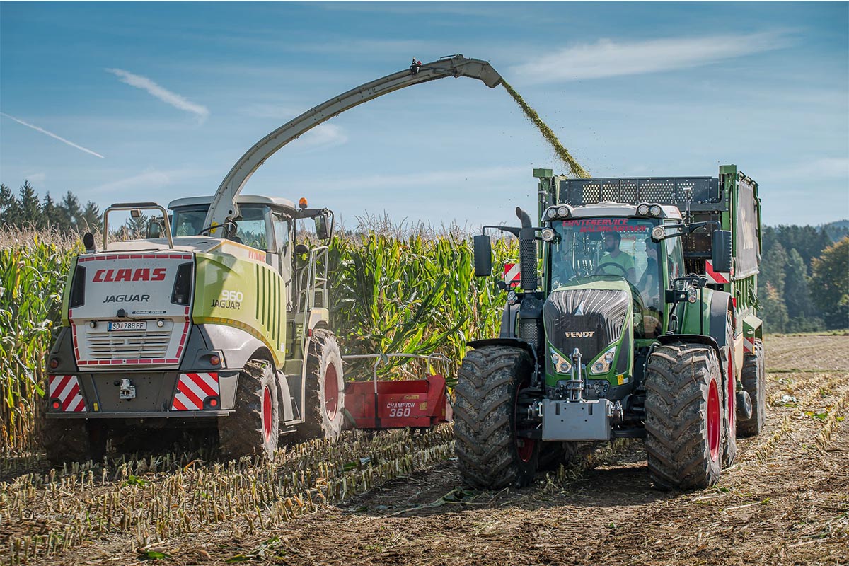 Maisernte und Transport von Mais